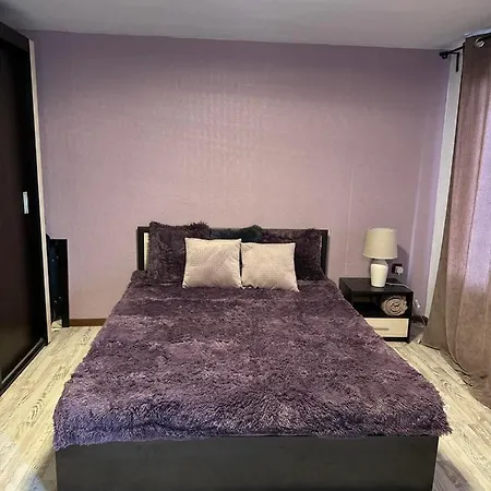 Guest house вила николета *