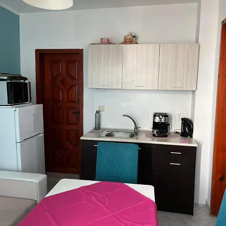 вила николета Guest house Sveti Vlas