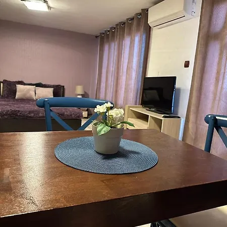 вила николета Guest house Sveti Vlas